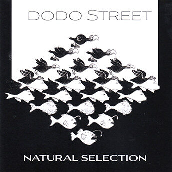 Dodo Street